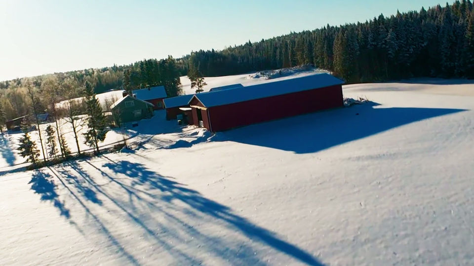 Jalasjärven Peltomaisema